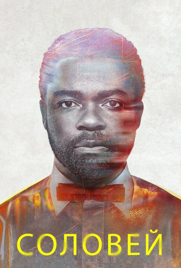 Постер к Соловей (2014)