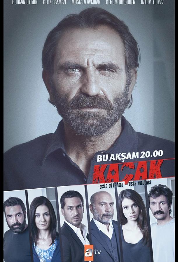 Постер к Беглец (1 сезон)