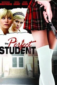 Постер к Идеальная студентка (2010)
